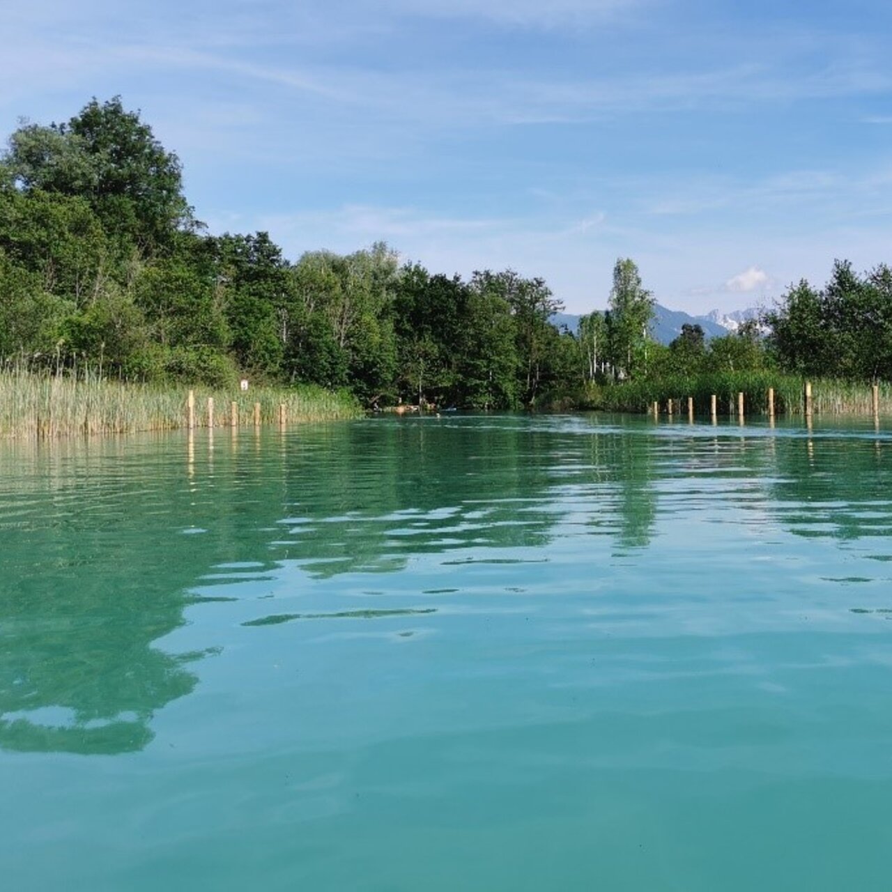 Der See selbst wurde noch 2015 als Oligotrophes Gewässer mit Armleuchteralgen eingestuft. Im Projekt City meets Nature – Lebensraumverbesserung für Moorfrosch & Co. wurden u.a. Abstandshalter zum Schutz der Uferzone gesetzt.