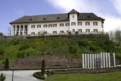 Schloss Seltenheim auf einem Hügel gelegen©StadtPresse/Puch