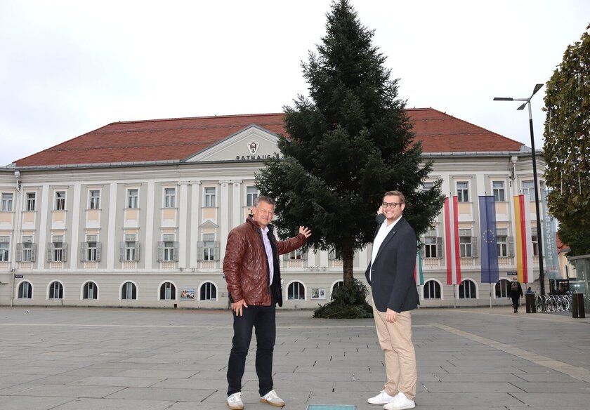 Bürgermeister Christian Scheider und Wirtschafts- und Tourismusreferent Stadtrat Julian Geier freuen sich über den schönen Baum, der heuer den Christkindlmarkt am Neuen Platz ziert. Foto: StadtKommunikation/Buchner