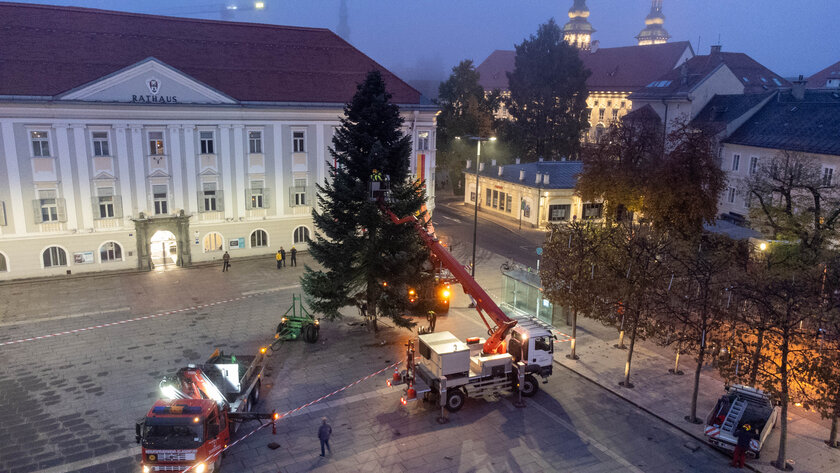 Bis zur Eröffnung des Christkindlmarktes am 19. November wird der Baum noch festlich geschmückt. Bild: StadtKommunikation/Wiedergut
