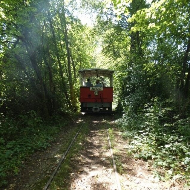 Mit der alten Straßenbahntramway können Exkursionen ins Schutzgebiet gebucht werden. 