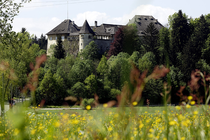 Die mächtige Anlage von Hallegg, zum Teil verborgen zwischen Bäumen©StadtPresse/Puch