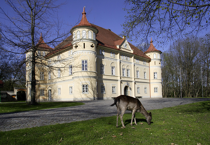 Reh vor dem Schloss Mageregg©StadtPresse/Puch