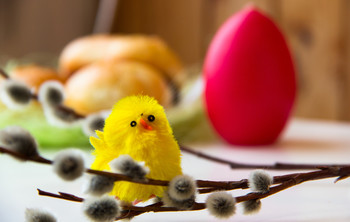 Frohe Ostern - Bitte OHNE Besuche!