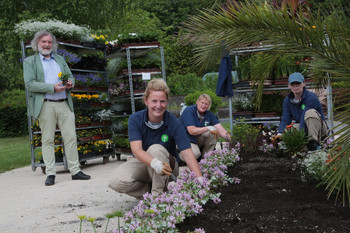 Stadtgartenreferent Stadtrat Frank Frey hilft dem Team der Stadtgärtnerinnen beim Aussetzen der Sommerblumen. Foto: StadtPresse/Wajand