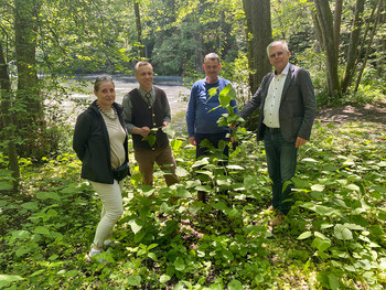 Vizebürgermeister Prof. Mag. Alois Dolinar mit Mag. Regine Hradetzky und Bezirksforstinspektor DI Marjan David. © StadtKommunikation