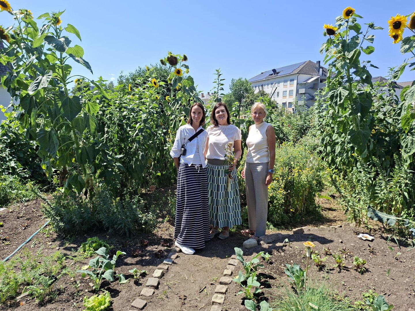 Mag. Kerstin Fanzott (Leiterin der VIVA) mit Mag. Dr. Elke Haber (kaufmännische Leitung des Elisabethinen-Krankenhauses) und Dr. Birgit Trattler (Leiterin der Abt Gesundheit, Jugend und Familie) beim heurigen VIVA Gartenfest. Foto: KK