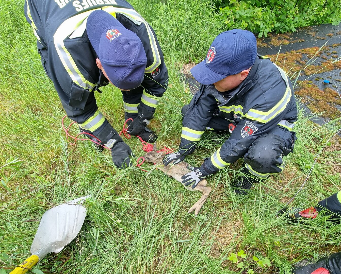 Die Berufsfeuerwehr Klagenfurt steht regelmäßig bei Tierrettungen im Einsatz. Foto: Berufsfeuerwehr Klagenfurt